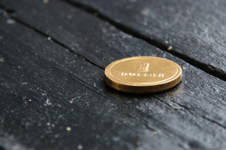 one dollar gold coin, money or income ideaの写真素材