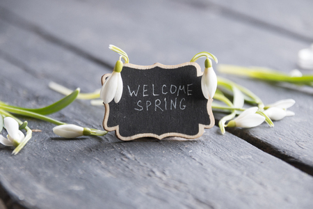 welcome spring idea, plate with the inscription and snowdropの写真素材