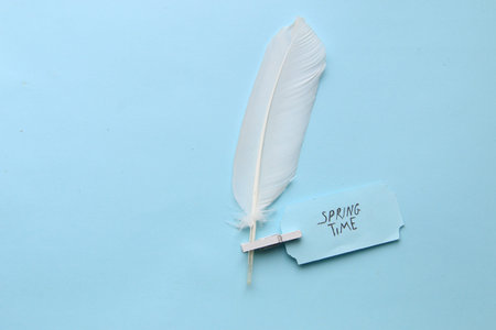 Spring time tag on a blue background. Tag and feather.