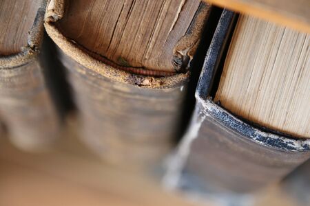 Bookshelves in the library with old books. Vintage style.の写真素材
