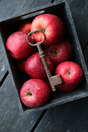 Healthy eating is the key to everything concept. Apples and key.の写真素材
