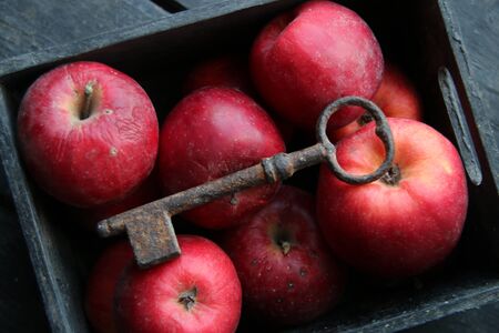 Healthy eating is the key to everything concept. Apples and key.の写真素材