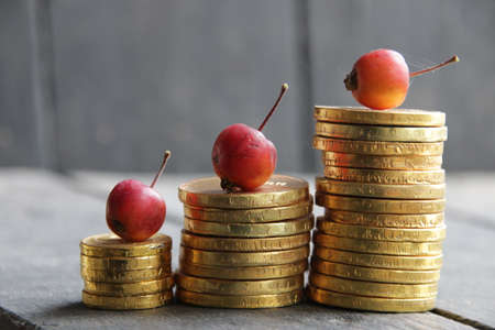 Trade diagram with golden coins moneyの写真素材