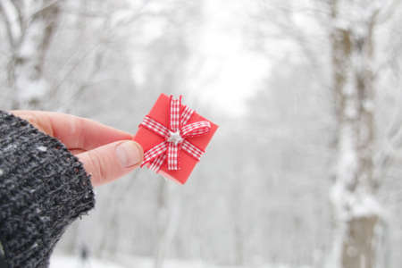 Hand holds a gift box on the background of the winter forest.の写真素材