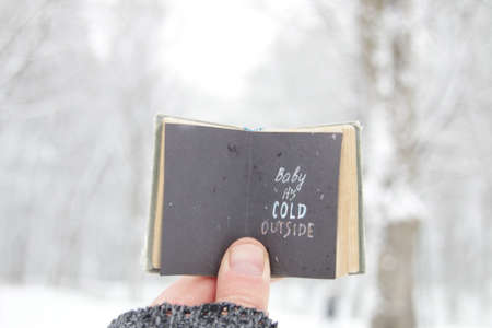 Baby its cold outside inscription on the book on the background of the winter forestの写真素材