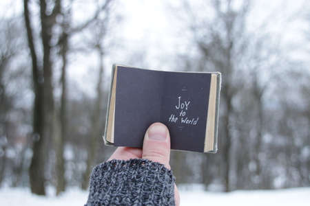 Joy To The World. A hand holds a book with an inscription on the background of a winter park.の写真素材