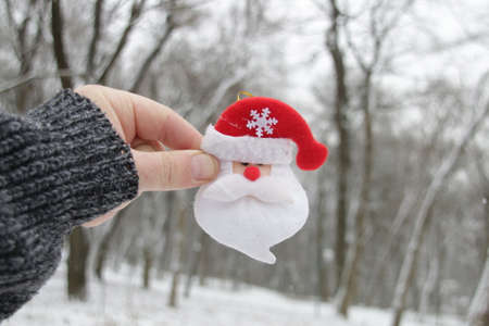Christmas holidays concept or Christmas background and winter forest.の写真素材