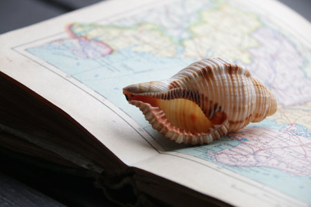 Summer vacation at sea concept. Map and seashell.の写真素材