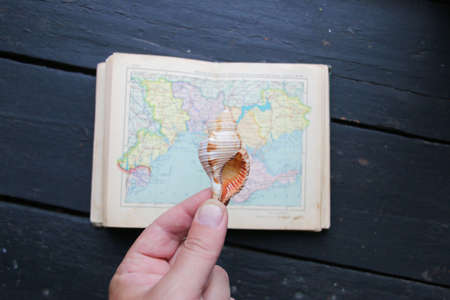 Summer vacation at sea concept. Map and seashell.の写真素材