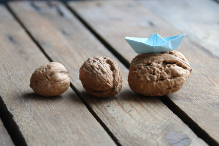 Leadership creative concept. Nuts and a paper boat.の写真素材