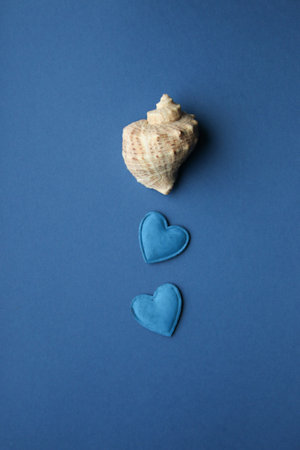 Sea shell on a blue background. advertising background.の写真素材