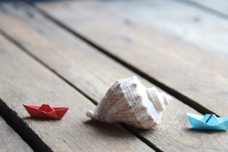 Seashell on a wooden background. summer background.の写真素材