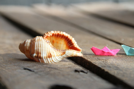 Seashell on a wooden background. Summer time creative concept.の写真素材