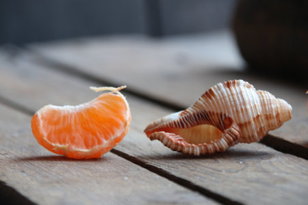 Seashell and Slice of tangerine on old vintage table. Summertime concept.の写真素材