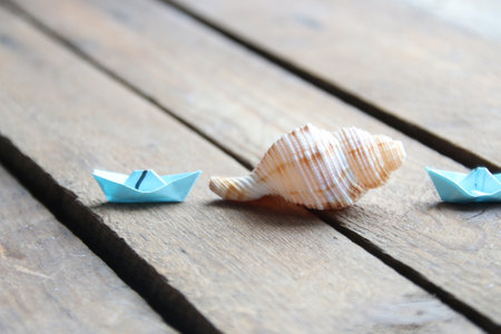 Seashell on a wooden background. summer background.の写真素材