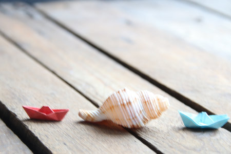Seashell on a wooden background. summer background.の写真素材