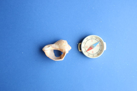 Compass and shell on a blue background. summer background.の写真素材