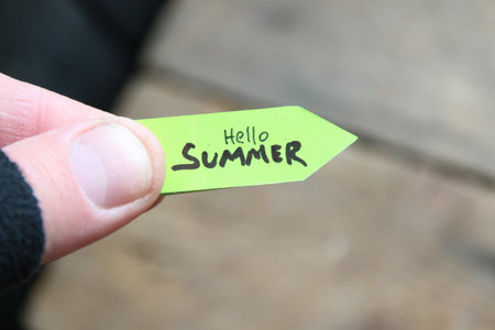 Hello Summer creative concept. background for tropical relax season.の写真素材
