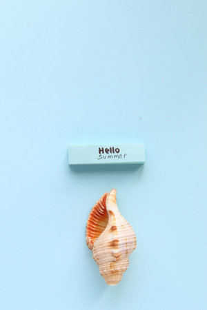 hello summer creative concept. Hand lettering quote.の写真素材