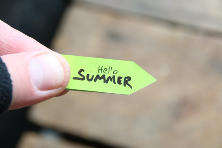 hello summer creative concept. Tropical relax background.の写真素材