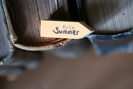 hello summer creative concept. Tropical relax background.の写真素材