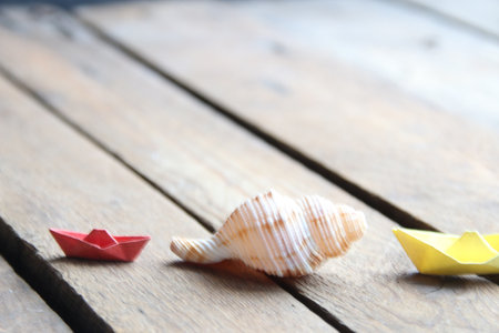 Seashell on a wooden background. summer background.の写真素材