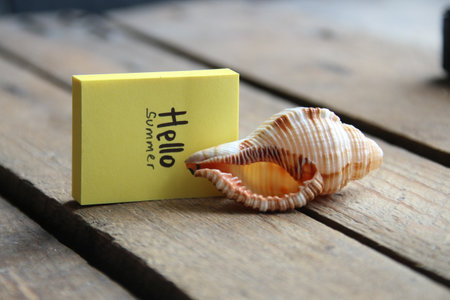 hello summer creative concept. Hand lettering quote.の写真素材