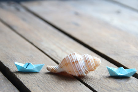 Seashell on a wooden background. summer background.の写真素材