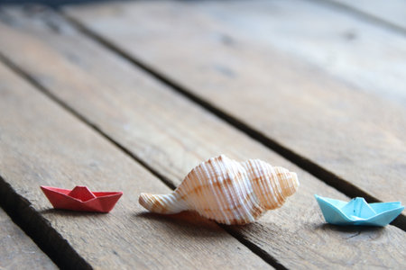 Summer background. Seashell on a wooden background.の写真素材