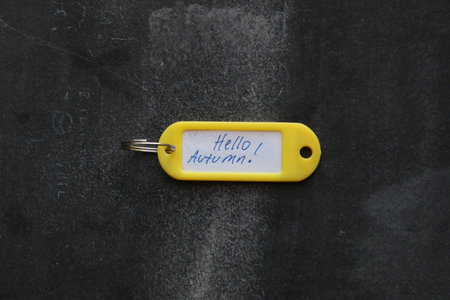 Hello autumn text, greeting card.