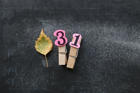 Autumn or Halloween decoration. Copy spaceの写真素材