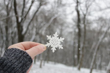Hand holds a snowflake on the background of the winter forest. Winter background.の写真素材