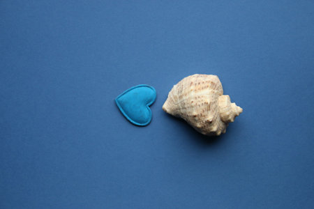 Sea shell on a blue background.