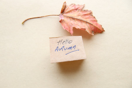 Hello autumn concept. Autumn background.の写真素材