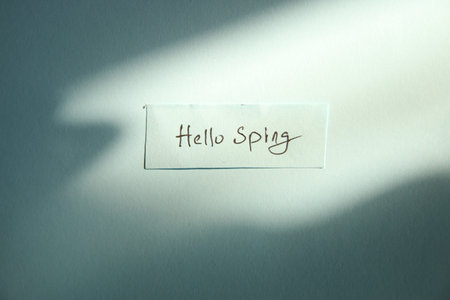 Hello spring hand lettering text.の写真素材