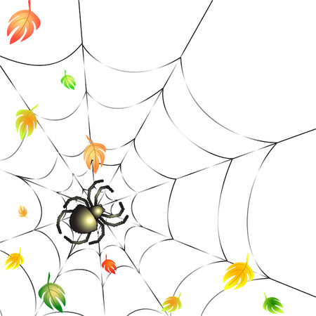 Background with Leafs and Spider on a Web in Autumnのイラスト素材