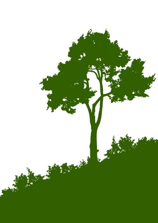 Green silhouette of a tree on the white backgroundのイラスト素材