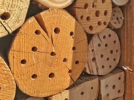 close-up view of a bee flying insect to the hotelの素材