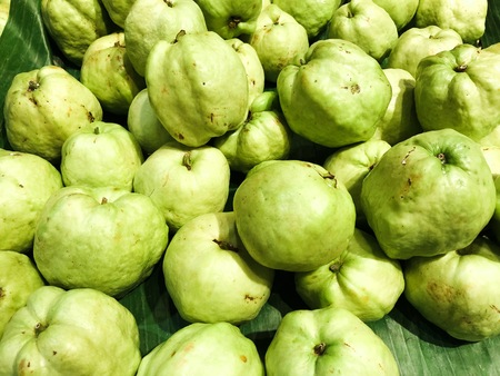 Guava fruit is placed in a tray that is sold in market.の写真素材