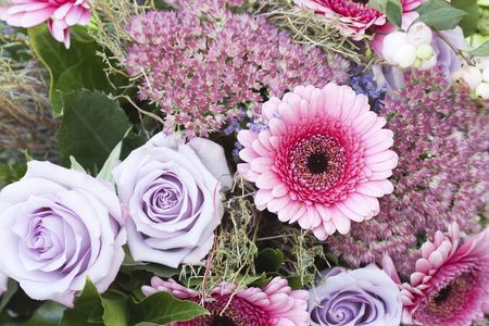 Beautiful roses and gerbera background close-upの写真素材