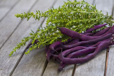 Purple raw beans with savory lying on a wooden tableの写真素材