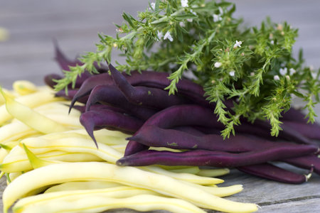 Purple and yellow fresh beans with savory