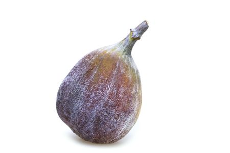 One fig on white backgroundの写真素材
