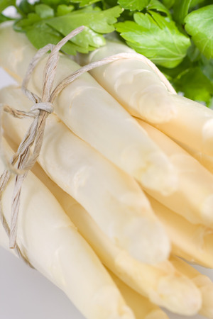 A bunch of fresh white asparagusの写真素材