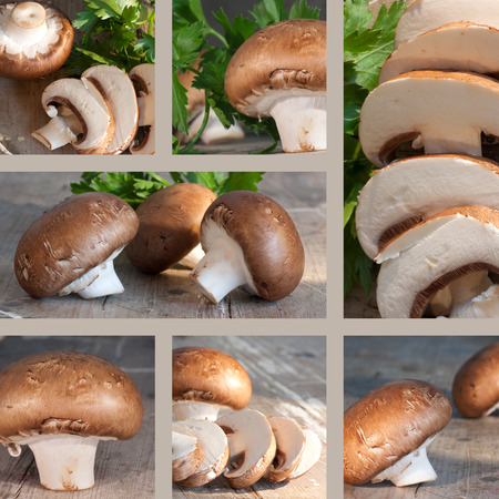 Collage of healthy vegetarian foodの写真素材