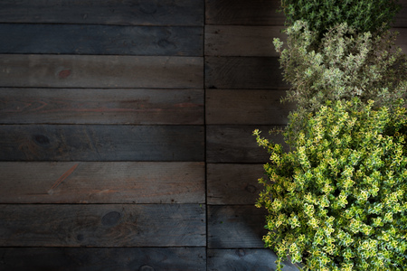 Fresh thyme herbs on a rustic wooden tableの写真素材