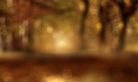 Abstract colored autumn landscape with trees and sunlight