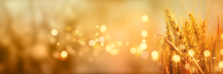 Radiant golden autumn background with luminous bokehの写真素材