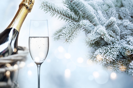 Wintry congratulations for new year with champagne and rime covered fir branchesの写真素材
