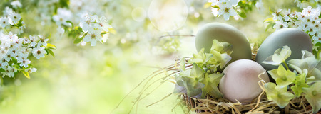 Bright colored easter eggs in a sunny spring landscape for easter wishesの写真素材